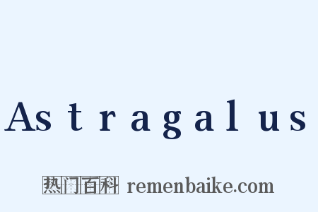 Astragalus是什么意思的图片
